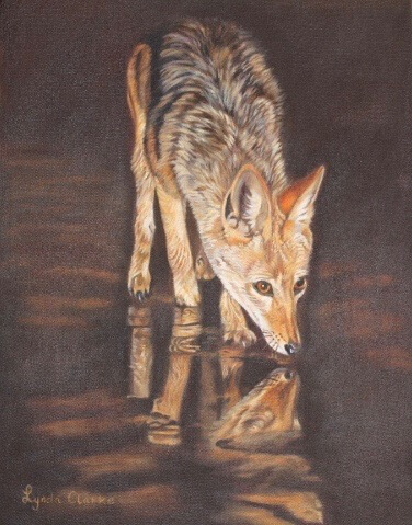 376x479 Lynda Clarke A Portfolio - Jackal Painting