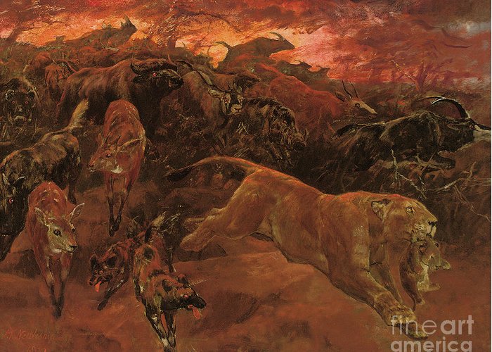 700x500 The Jackal Art Fine Art America - Jackal Painting