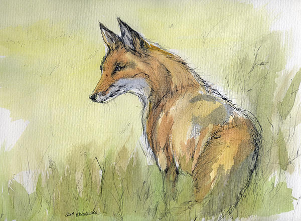 600x441 Wild Fox Watercolor Painting Beach Sheet For Sale By Angel Ciesniarska - Jackal Painting