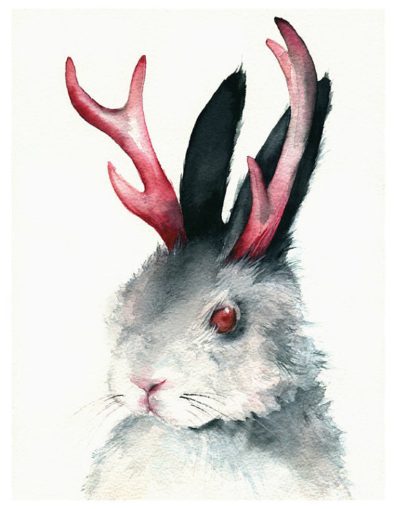 570x737 Rabbit Jackalope Art Jack Watercolor Print - Jackalope Painting