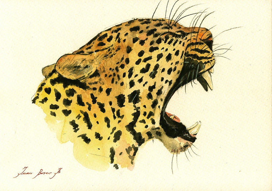 900x632 Jaguar Head Painting Watercolor Painting By Juan Bosco - Jaguar Painting