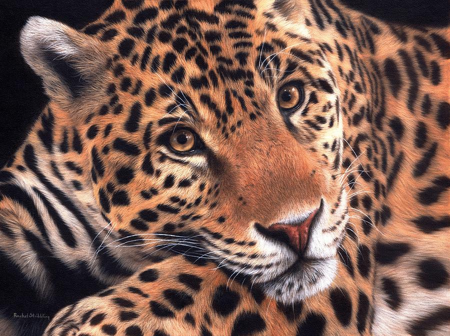 900x671 Jaguar Painting Painting By Rachel Stribbling - Jaguar Painting