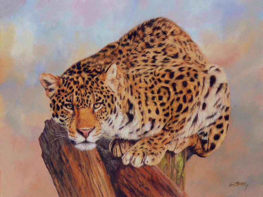 900x674 Jaguar Painting By David Stribbling - Jaguar Painting