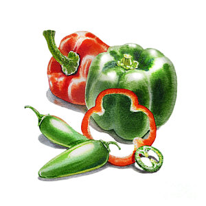 300x300 Jalapeno Paintings Fine Art America - Jalapeno Painting