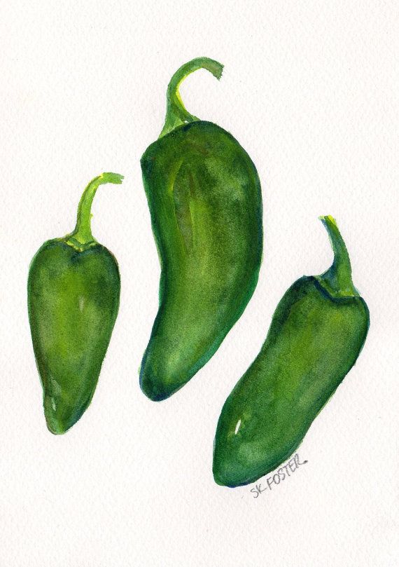570x809 Peppers Watercolor Paintings Original Art, Kitchen Decor, Jalapeno - Jalapeno Painting