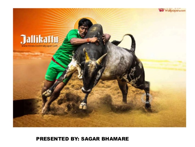 638x479 Jallikattu - Jallikattu Painting