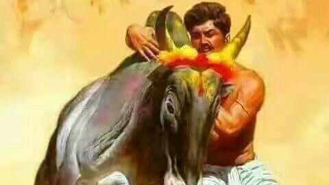 480x270 Petition President Say No To Jallikattu Ban - Jallikattu Painting