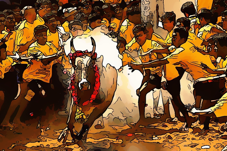 791x528 Top 10 Myths And Facts About Jallikattu You Should Know - Jallikattu Painting