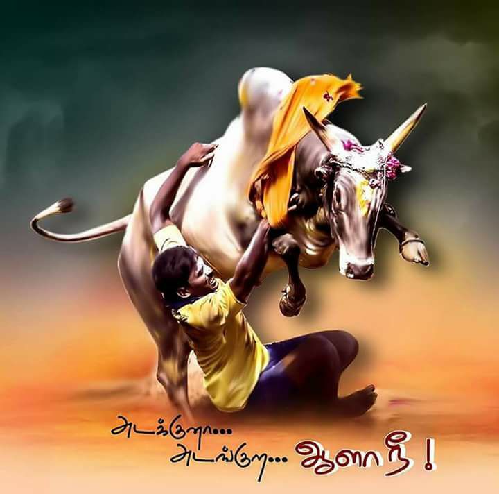 720x712 Beauties Of Thanjavur Real Reason For Protest Jallikattu Amen Pca - Jallikattu Painting