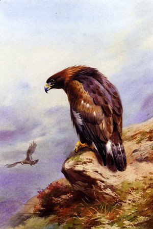 300x449 Famous Eagles Paintings Amp Reproductions 1st Art Gallery - James Eagles Painting