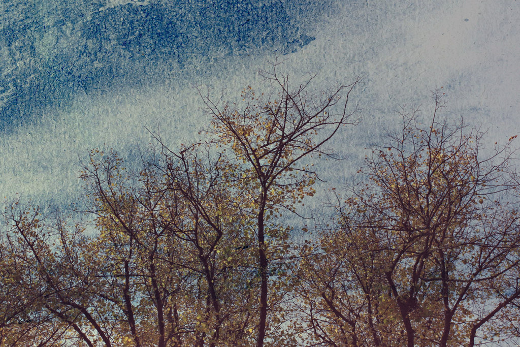 1024x683 Painting Jane Eyre By Lavandaria - Jane Eyre Painting