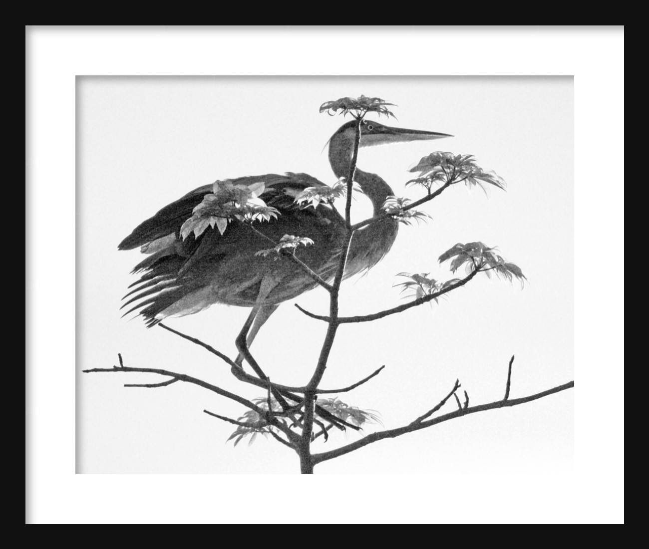 1300x1100 Heron On Silk Painting Expat Journal Postcards From The Edge - Japanese Black And White Painting