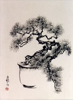 236x322 Centro Bonsai Tenerife Quinto Kuromatsu Fifth Kuromatsu - Japanese Bonsai Tree Painting
