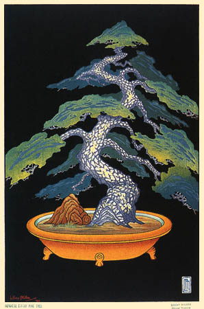 298x450 Dwarf Potted Trees In Paintings, Scrolls, Woodblock Prints - Japanese Bonsai Tree Painting