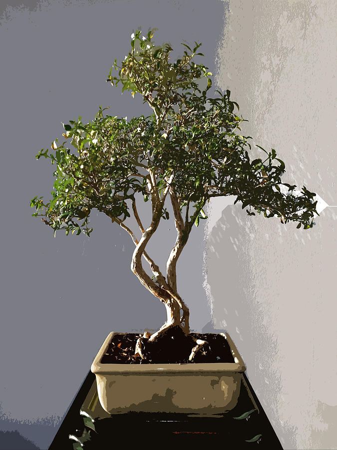 675x900 Leafy Japanese Bonsai Tree Painting By Elaine Plesser - Japanese Bonsai Tree Painting