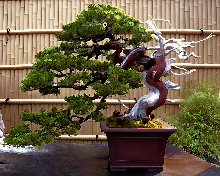 900x720 Bonsai Tree And Bamboo Fence Painting By Elaine Plesser - Japanese Bonsai Tree Painting
