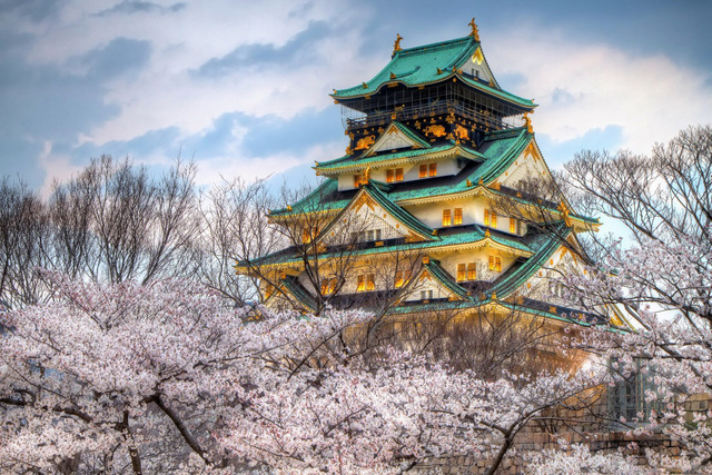 640x427 Osaka Castle Japan Spring Landscapes 350pfj Fabric Poster Custom - Japanese Castle Painting