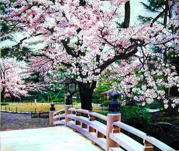 600x507 Japanese Cherry Blossom Painting Japan Cherry Blossom Painting - Japanese Cherry Blossom Painting