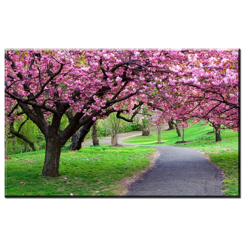 1000x1000 Zz1693 Beautiful Japanese Cherry Blossom Tree Scenery Canvas Oil - Japanese Cherry Blossom Tree Painting
