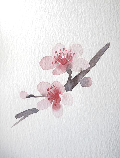 500x658 Pin By On Watercolor - Japanese Cherry Blossom Watercolor Painting