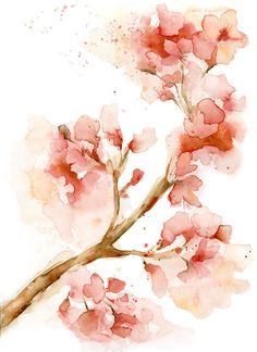 236x324 Plum Blossom Painting Japanese Cherry Blossoms, Wall - Japanese Cherry Blossom Watercolor Painting