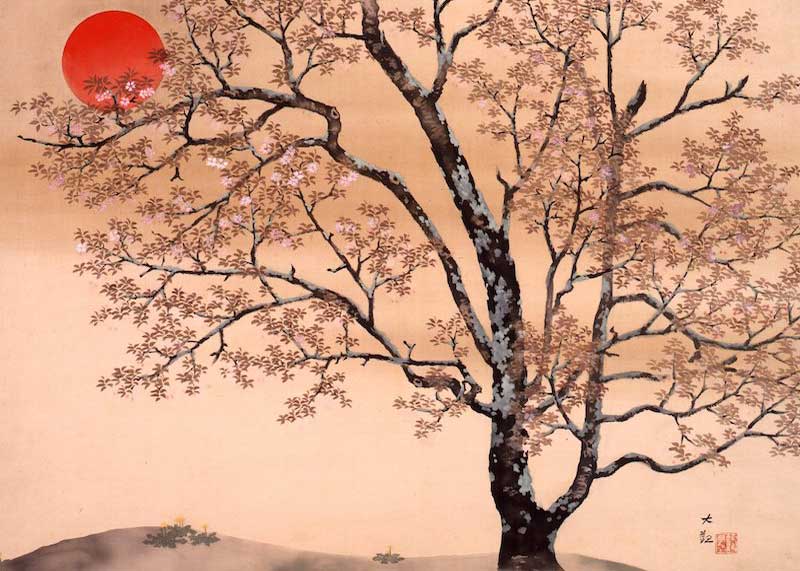 800x571 Cherry Blossom Art 12 Must See Japanese Masterpieces - Japanese Cherry Tree Painting