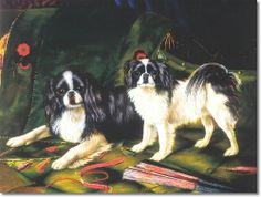 236x178 25 Best Japanese Chins In Art Images On Japanese Chin - Japanese Chin Painting