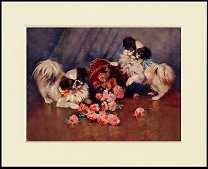 300x244 Japanese Chin Two Dogs And A Basket Of Flowers Dog Print Mounted - Japanese Chin Painting