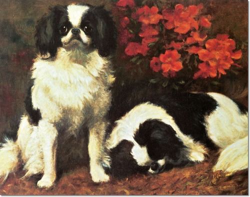 500x394 Janet Archer - Japanese Chin Painting