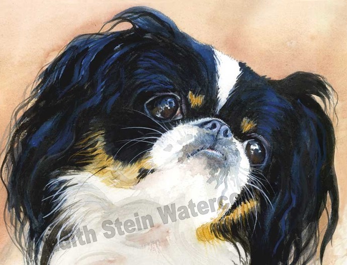 690x527 Japanese Chin Tri Color, Black, White, Tan, Akc By K9stein On Zibbet - Japanese Chin Painting