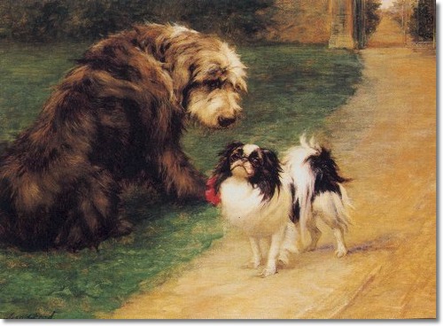 500x368 Moony's Faith Japanese Chins - Japanese Chin Painting