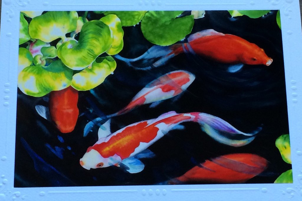 1024x682 5 Card Set Blank Art Note Greeting Cards Japanese Koi Fish, Fish - Japanese Coy Fish Painting