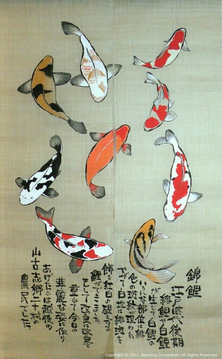 736x1188 Pin By Jann Selleck On Koi Plus Koi, Fish And Japanese - Japanese Coy Fish Painting