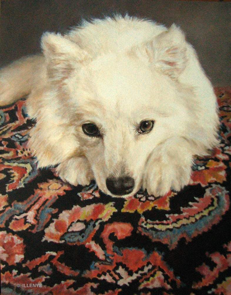 786x1000 Stunning White Japanese Spitz Named Daisy Custom Pet Portrait Oil - Japanese Dog Painting