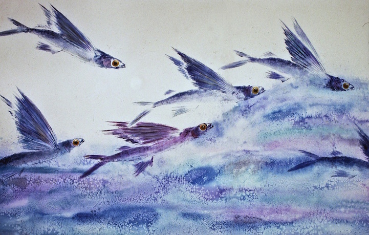 721x459 Gyotaku The Traditional Japanese Art Of Painting Marine Life - Japanese Fish Painting