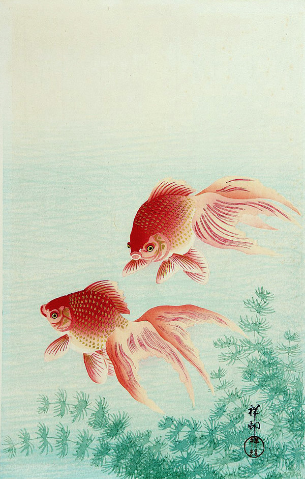 Japanese Fish Painting at PaintingValley.com | Explore collection of ...