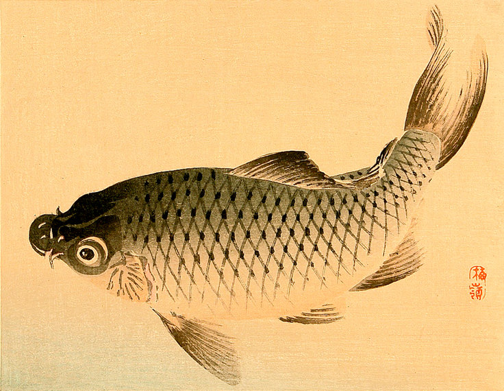 736x570 Japanese Fish Animal Art Japanese Fish Art Prints Posters - Japanese Fish Painting