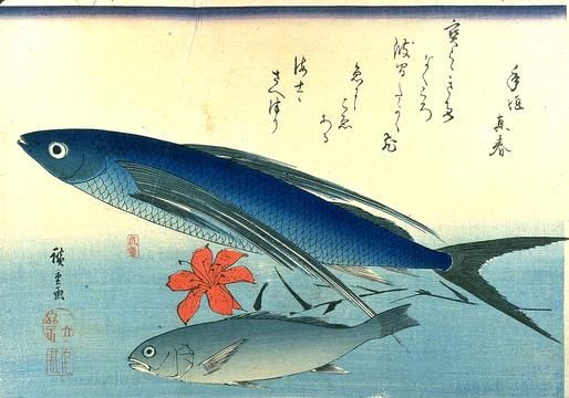 514x360 Hiroshige, Ando Japanese Fish Painting, Shogun The Art - Japanese Fish Painting