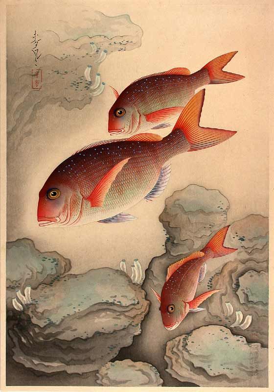 560x800 Bakufu Ohno Hanga Picture Collection, Tokyo Japan - Japanese Fish Painting