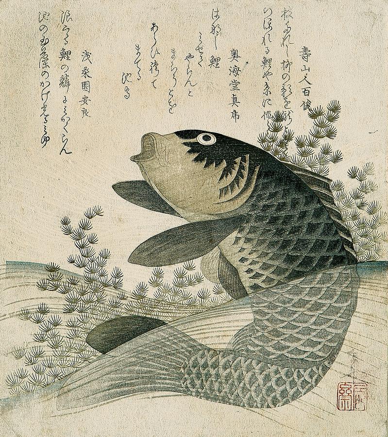 799x900 Carp Among Pond Plants Painting By Ryuryukyo Shinsai - Japanese Fish Painting