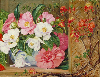 420x322 Kew Marianne North Gallery Painting 659 Japanese Flowers - Japanese Flower Painting