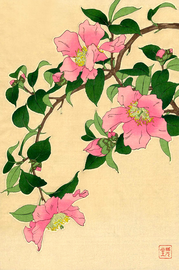 570x862 Result.ly Art Prints, Prints And Japanese - Japanese Flower Painting