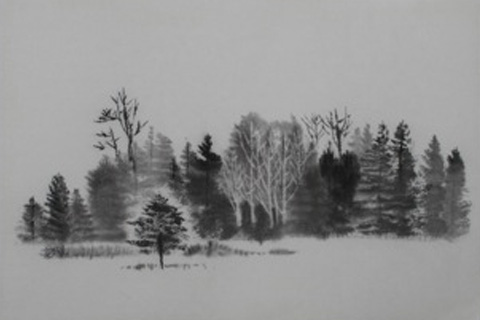 480x320 Japanese Canadian Cultural Centre - Japanese Forest Painting