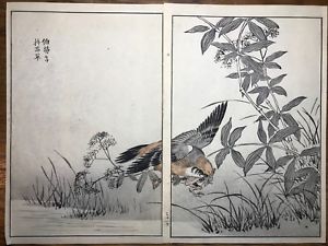 300x225 Japanese Woodblock Print Maekawa Bunrei Birds Of Japan Bird - Japanese Frog Painting