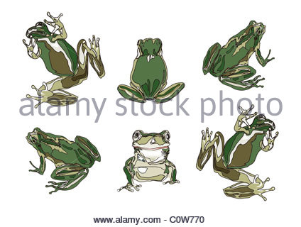 424x320 Pattern Of Japanese Painting, Japanese Tree Frog Stock Photo - Japanese Frog Painting