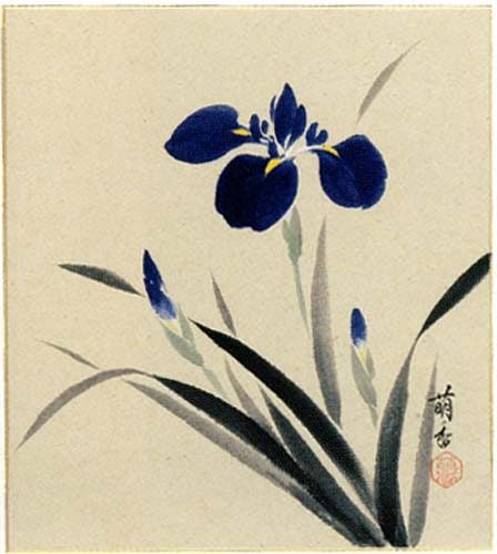 Japanese Iris Painting