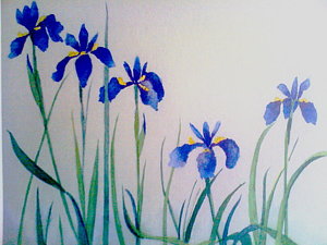 300x225 Japanese Iris Paintings - Japanese Iris Painting