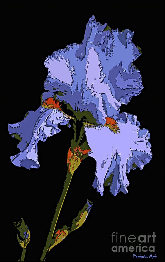 568x900 Japanese Iris Blue Beauty Painting By Dragica Micki Fortuna - Japanese Iris Painting