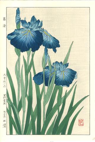 322x480 Osuga Yuich - Japanese Iris Painting