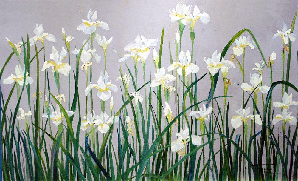 1000x606 White Flower Paintings , Japanese White Irises, Floral Artwork - Japanese Iris Painting
